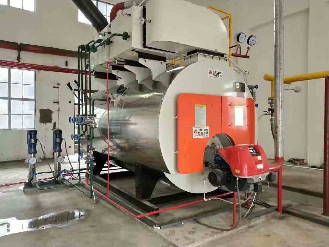 WNS�͵͵�����ʽȼ������偠t